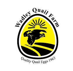 quail farm